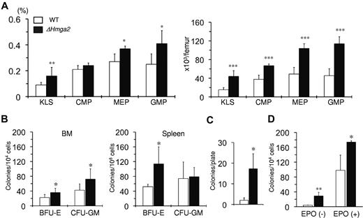 Figure 3. Increased number of HSCs and committed progenitor cells and EPO-independent erythroid colony formation in ΔHmga2 mice. (A) Proportions (left) and absolute numbers (right) of KLS cells and committed progenitor cells in total BM cells as determined by flow cytometry (n = 4 in each). (B) Numbers of BFU-Es and CFU-GMs grown from 1 × 104 BM cells (n = 8 in each) and 1 × 106 spleen cells (n = 4 in each) in the presence of human EPO and IL-6, and murine IL-3 and SCF. (C) New BFU-E formation after replating of primary BFU-Es (n = 3 in each). (D) CFU-E formation from BM cells in the absence (n = 4 in each) and presence (n = 3 in each) of EPO.*P < .05, **P < .01, ***P < .001.