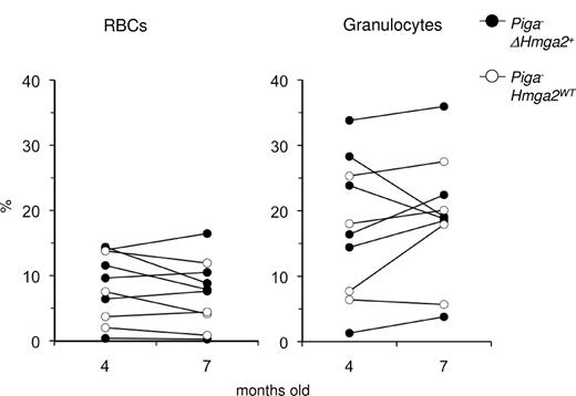 Figure 6. Lack of GPI-linked proteins is not synergistic to the growth advantage of ΔHmga2+ hematopoietic cells. Proportions of CD24− RBCs and FLAER− granulocytes in Piga−Hmga2WT mice and Piga−ΔHmga2+ mice at the ages of 4 months and 7 months.