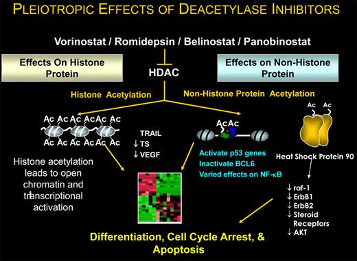 Pleiotropic effects of deacetylase inhibitors.