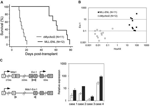 Figure 2. Evi-1 is frequently up-regulated in leukemic cells transformed by MLL fusion protein in vivo. (A) Survival curves of sublethally irradiated recipients transplanted with BM cells transduced with either MSCV-neo-MLL-ENL (n = 11; blue) or MSCV-cMyc-ires-bcl2 (n = 12; red) are shown. (B) Expression levels of Evi-1 and HoxA9 in leukemic cells transformed by MLL fusion genes (MLL-ENL; n = 11; ■) or cMyc/bcl2 (n = 12; □) are indicated. Expression levels of Evi-1 and HoxA9 relative to BM MNCs are shown as squares. (C left) Gene structures of Evi-1a and Mds1-Evi-1 and positions of primer sets for quantitative real-time polymerase chain reaction are shown. The exons, start codons, and primers are depicted in boxes, with arrows, and with white triangles, respectively. Sequences of primers are presented in the supplemental Methods. (Right) Expression levels of Evi-1a (□) and Mds1-Evi-1 () in leukemic cells from 4 mice with high Evi-1 expression relative to BM MNCs are shown with SD.
