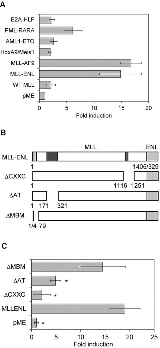 Figure 4. Reporter assays using MLL-ENL deletion mutants and other oncoproteins. (A) Transactivation of pGL4-E2265 induced by MLL-AF9, AML1-ETO, PML-RARA, E2A-HLF, HoxA9/Meis1, or wild-type MLL (WT MLL) is shown. Data are presented as a relative fold increase in mean luciferase activity, with SD, after adjustment for β-galactosidase activity. (B) Schematics represent the composition of MLL-ENL deletion mutants. Numbers denote amino acid positions in wild-type MLL and ENL. Positions of CXXC DNA binding motif (red), AT-hooks DNA binding motif (AT; blue), and menin-binding motif (MBM; yellow) are shown in the schematics of intact MLL-ENL. (C) Transactivation of pGL4-E2265 induced by intact MLL-ENL or its deletion mutants is shown. Data are presented as described in (A). *P < .05 versus MLL-ENL.