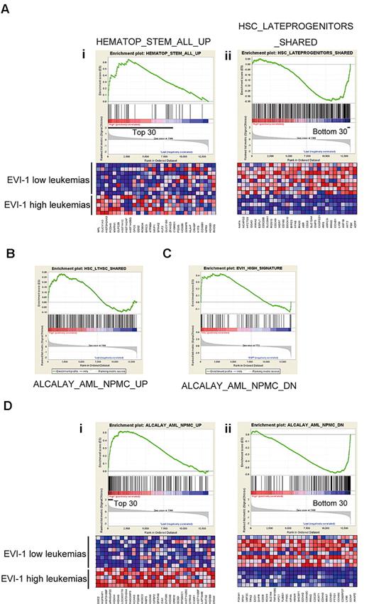 Figure 6. Gene-expression profiles of Evi-1–high leukemias with MLL rearrangement revealed a stem cell–like character. (A) A strong correlation of up-regulated genes in EVI-1–high leukemias with a gene set representing HSCs and of down-regulated genes in EVI-1–high leukemias with a gene set typical of progenitor cells is shown. GSEA of gene expression in human EVI-1–high AMLs with MLL rearrangement (n = 5) was compared with EVI-1–low AMLs with MLL rearrangement (n = 8) using functional gene sets (C2). (Ai,ii) GSEA enrichment plots of the selected gene sets. (Ai) Up-regulated genes in human HSCs.41 (Aii) Up-regulated genes in hematopoietic late progenitor cells.32 The corresponding heat maps represent expression of the 30 leading genes of the respective gene sets. Up-regulated and down-regulated genes are shown in red and blue, respectively. (B) GSEA plots show that expression of genes representing long-term HSCs (LTHSC) is enriched in EVI-1–high AMLs with MLL rearrangement compared with EVI-1–low AMLs with MLL rearrangement. Normalized enrichment score = 1.33; false-discovery rate q = .141. (C) GSEA of gene expression in 5 normal KSL samples and 4 normal GMP samples using a gene set representing EVI-1 high leukemia with MLL rearrangement. GSEA plots show that expression of genes representing EVI-1–high leukemia is enriched in KSL cells compared with GMPs. Normalized enrichment score = 1.46; false-discovery rate q = .025. (D) A strong correlation of up-regulated genes in EVI-1–high leukemias with those in cytoplasmic nucleophosmin–positive (NPMc+) leukemias existed. GSEA of gene expression in human EVI-1–high AMLs with MLL rearrangement (n = 5) was compared with EVI-1–low AMLs with MLL rearrangement (n = 8) using functional gene sets (C2). (Di-ii) GSEA enrichment plots of the selected gene sets. (Di) Up-regulated genes in NPMc+ leukemias.42 (Dii) Down-regulated genes in NPMc+ leukemias.42