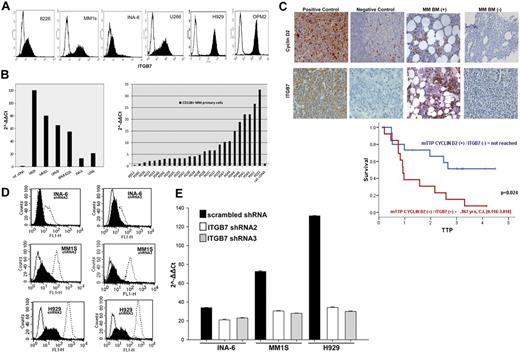 Figure 1. Integrin-β7 expression in myeloma cell lines and primary myeloma cells. (A) Flow cytometric analysis demonstrating integrin-β7 expression in MM cell lines (OPM2, INA6, MM1S, 8226, H929, and U266). Open histograms represent isotype IgG1 control, whereas solid histograms indicate integrin-β7 staining. (B) ITGB7 mRNA expression as determined by quantitative RT-PCR in indicated MM cell lines and CD138+ sorted cells from the BM aspirates of MM patients. Data quantification was carried out by the 2−ΔΔct method relative to a reference human cDNA library (Stratagene). (C) Myeloma tissue microarray (TMA) constructed from the BM biopsies of 79 newly diagnosed MM patients was used to evaluate the expression of integrin-β7 and Cyclin D2 by immunohistochemical staining (IHC) and its impact on prognosis. Shown in the insets are representative H&E, Cyclin D2, and integrin-β7 staining of MM patients BM biopsies. Also shown, positive and negative controls (Cyclin D2: positive OPM2 myeloma cell line; negative: human tonsils; Integrin-β7: positive MM1S myeloma cell line; negative: HL60 leukemia cell line). Images were acquired with a bright light Olympus BX5 microscope and multispectral camera (Nuance Fx; CRi) 10× magnification. Kaplan-Meier survival curves indicate the shorter time to progression (TTP) for patients with MM cells coexpressing Cyclin D2 and integrin-β7. (D) ITGB7 silencing with lentiviral mediated delivery of ITGB7-specific shRNAs (shRNA 2 and 3) in MM1S, H929 and INA-6 cells. Shown is integrin-β7 expression in puromycin-selected cells transfected with ITGB7-specific shRNAs (solid histogram: ITGB7silenced) or scrambled oligonucleotides sequences (open histogram, dashed line: ITGB7positive) relative to control IgG1 istoype (open histogram, solid line) as determined by flow cytometry. (E) qRT-PCR confirming ITGB7 silencing in established puromycin-resistant ITGB7silenced versus ITGB7positive cells.