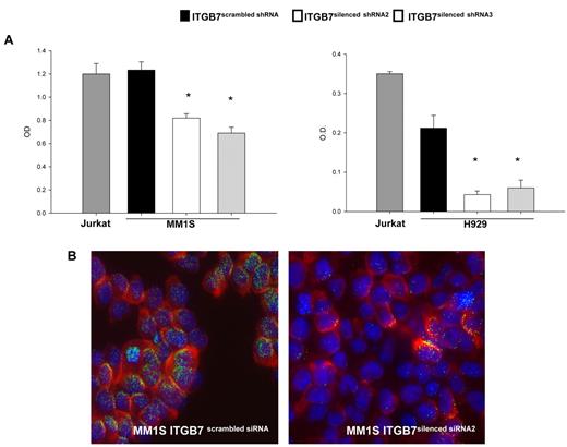 Figure 5. ITGB7 silencing reduces p65 NF-κB activity in MM cells. (A) NF-κB-p65 transcription factor binding to its consensus sequence on a plate-bound oligonucleotide was measured by ELISA in nuclear extracts from Jurkat, ITGB7silenced (ITGB7 shRNA2 and ITGB7 shRNA3), and ITGB7positive (scrambled shRNA) MM1S and H929 cells cultured on FN-coated plates. Shown results represent means (± SD) of triplicate experiments (* P < .05). (B) Decreased nuclear NF-κB-p65 translocation or localization in ITGB7silenced (right) compared with ITGB7positive (left) MM1S cells cultured on FN-coated plates as detected by immunofluorescence staining with p65 NF-kB Ab (Cy-3 labeled) and DAPI for nuclear visualization. Image acquisition was performed with epifluorescence Olympus BX5 microscope and multispectral color camera (Nuance FX; CRi) with 60× magnification and oil immersion (details in supplemental Materials).