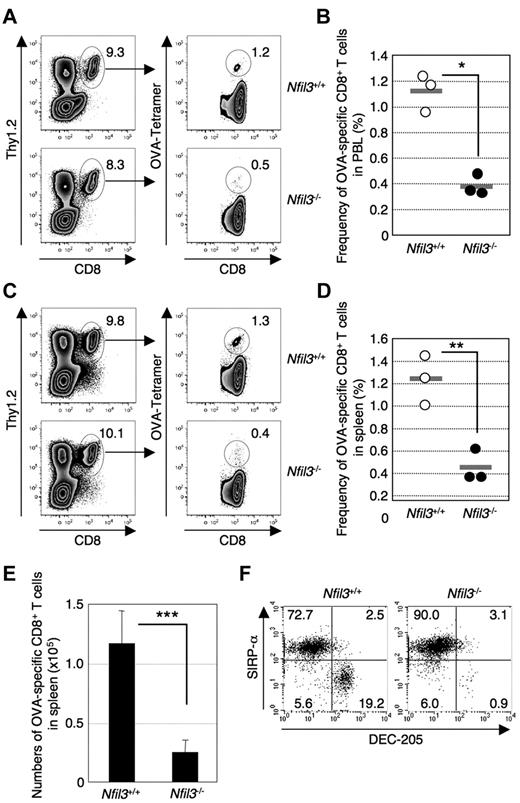 Figure 2. Impaired cross-priming in Nfil3−/− mice. Nfil3−/− and Nfil3+/+ mice were immunized with irradiated Kb−/−/mOva splenocytes intravenously. Detection of OVA257-specific CD8+ T cells in PBLs and spleen by tetramer (Kb/OVA257) staining was performed at day 5 after immunization. (A) Representative FACS profiles for OVA257-specific CD8+ T cells in PBLs. Similar results were obtained from 3 independent mice in each group. (B) Reduced frequency of OVA257-specific CD8+ T cells among total circulating CD8+ T cells in Nfil3−/− PBLs at day 5 after immunization. Each dot represents an individual Nfil3+/+ mouse (○) or Nfil3−/− (●) mouse, and gray lines indicate mean frequency (*P = .0016). (C) Representative FACS profiles for OVA257-specific CD8+ T cells in spleen. Similar results were obtained from 3 independent mice in each group. (D) Reduced frequency of OVA257-specific CD8+ T cells of Nfil3−/− spleen CD8+ T cells at day 5 after immunization. Each dot represents an individual Nfil3+/+ mouse (○) or Nfil3−/− mouse (●), and gray lines indicate mean frequency (**P = .0067). (E) Reduced numbers of OVA257-specific CD8+ T cells in Nfil3−/− spleen at day 5 after immunization. Data represent 1 of 2 independent experiments with similar results (***P = .035). (F) Detection of CD8α+ cDCs (CD11chiCD8α+DEC-205+SIRP-alo) in Nfil3−/− and Nfil3+/+ mice immunized with irradiated Kb−/−/mOva splenocytes by flow cytometry. Data are representative of 3 independent mice from each group.
