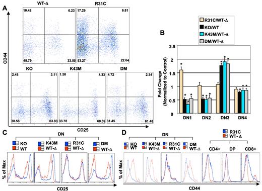 Figure 3. Alteration in DN subsets and in CD25 and CD44 expression in thymuses of Cdk6 mutant mice. (A) Flow cytometric analysis of CD44/CD25 expressing thymocytes from 2-month-old mice. The cells were stained with the “cocktail” of lineage-specific antibodies and CD44 and CD25 antibodies. Lineage-positive cells were electronically “gated out,” and CD44-versus-CD25 profiles of the lineage-negative compartments are presented. Numbers in quadrants indicate the percentage of cells in each subset. (B) Quantification of DN1–4 cells. The bar graph summarizes the percentage of DN1–4 populations from separate experiments. Data are mean ± SE. *P < .05, significantly different from the control levels, which were arbitrarily defined as 1 unit (100%). (See supplemental Table 2 for the animal numbers used.) (C) Flow cytometric analysis of CD25 expression in DN thymocytes. (D) Flow cytometric analysis of CD44 expression in DN thymocytes from WT and KO, and from WT-Δ and K43M, R31C, and DM. (Right) Flow cytometric analysis of CD44 expression in CD4+, DP, and CD8+ subsets from R31C thymocytes.
