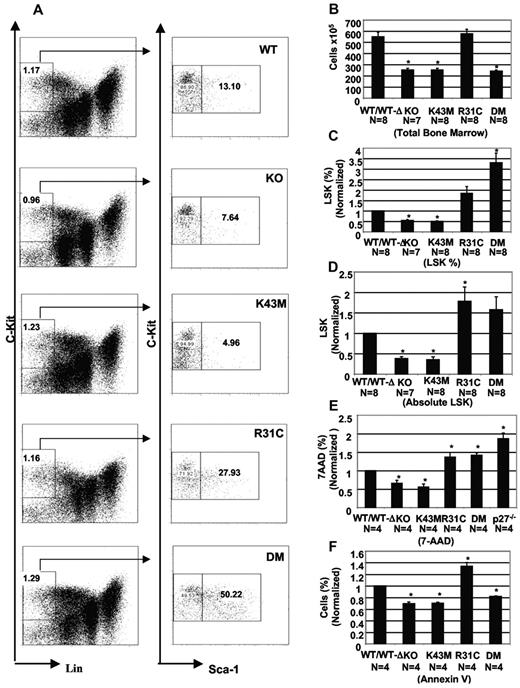 Figure 4. CDK6 and its kinase activity are required for stem cell/multipotent progenitor development. (A) Staining for hematopoietic stem cells (LSK fraction). The relative percentage of selected cell populations in BM is shown. (B) Total BM cellularity from 2- to 3-month-old mice. The cell numbers are mean ± SE (N is indicated). *P < .05, significantly different from the control levels. (C) The percentage of LSK in the total cell population was calculated based on the percentage of Lin−c-Kit+ and c-Kit+ Sca-1+ populations and is the mean ± SE. *P < .05, significantly different from the WT/WT-Δ control, which was arbitrarily defined as 1 unit (100%). (D) The absolute cell numbers for the LSK were calculated based on the total number of cells (B) and the percentage of LSK (C) in the total cell population from BM, and are the mean ± SE (N is indicated). *P < .05, significantly different from the WT/WT-Δ controls, which was arbitrarily defined as 1 unit (100%). (E) Proliferative fraction of LSK. BM suspensions were surface-stained before permeabilization and then stained with 7-amino-actinomycin D (7-AAD). The percentage of (S-G2-M) from 4 separate experiments is the mean ± SE. *P < .05, significantly different from the WT/WT-Δ controls, which was arbitrarily defined as 1 unit (100%). (F) Apoptotic fraction from LSK cells using annexin V staining. Data are mean ± SE (N is indicated below each mutant mouse). *P < .05, significantly different from the WT/WT-Δ control, which was arbitrarily defined as 1 unit (100%).
