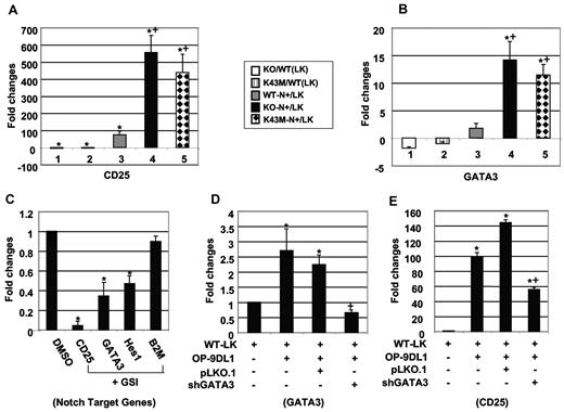 Figure 6. CDK6/kinase activity is required for repression of CD25 and GATA3. (A-B) The relative mRNA expression for CD25 (A) and GATA3 (B) between different mutants and their corresponding controls. LK indicates purified stem cell/progenitors; and N+, cells cocultured on OP-9DL1 for 4 days. RNA isolated from LK or N+ cells was used for quantitative RT-PCR according to the manufacturer's protocol. “KO/WT (LK)” indicates the ratio of LK cells derived from BM of KO compared with LK cells from WT, without OP9-DL1 stimulation. Similarly, “KO-N+/LK” indicates the ratio of LK cells from KO compared with the same cells after 4 days culture on OP9-DL1 stroma. Data are mean ± SE (N = 3). *P < .05, significantly different from the control levels (denominator), which were arbitrarily defined as 1 unit. +P < .05, significantly different from bar 3. All the mRNA expression levels were normalized to the expression level of 26S RNA. (C) Quantitative RT-PCR analysis of indicated gene expression after treatment of WT-LK cells with γ-secretase inhibitor (DAPT: 5 μm) for 4 days on OP9-DL1. Sorted GFP−PI− cells were used for quantitative RT-PCR. All the mRNA expression levels were normalized to the expression level of 26S RNA and calculated as values relative to DMSO-treated cells. Data are the mean ± SE (N = 3). *P < .05, significantly different from the control levels, which were arbitrarily defined as 1 unit. (D-E) Quantitative RT-PCR for GATA3 (D) and CD25 (E) gene expression. Sorted WT-LK cells were infected with control vector (pLKO.1) or shRNA GATA3 (shGATA3) and then cocultured with OP9-DL1 for 4 days. The optimal puromycin concentration used for selection is 0.5 μg/mL. Sorted GFP−PI− cells were used for quantitative RT-PCR. All the mRNA expression levels were normalized to the expression level of 26S RNA and calculated as values relative to WT-LK cells. Data are the mean ± SE (N = 3). *P < .05, significantly different from the WT-LK control level, which was arbitrarily defined as 1 unit. +P < .05, significantly different from the pLKO.1 level.