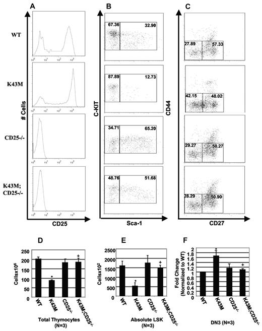Figure 7. Rescue of developmental defects in K43M mice by KO of CD25. (A) Flow cytometric analysis of CD25 expression in DN thymocytes. (B) Flow cytometric analysis of LSK fractions from BM. (C) Flow cytometric analysis of DN3 (CD44−CD27−) and DN4 (CD44−CD27+) populations in DN thymocytes. (D) Total number of thymocytes from 3- to 4-week-old mice. The cell numbers are mean ± SE (N = 3 for all the animals). *P < .05, significantly different from the WT control levels. +P < .05, significantly different from the K43M levels. (E) The absolute cell numbers for the LSK populations were calculated based on the percentage of LK (supplemental Table 5) and LSK (supplemental Table 5) in the total cell population from BM (supplemental Table 5). Absolute LSK = total BM cells × LK (%) × LSK (%), expressed as mean ± SE (N = 3). *P < .05, significantly different from the WT controls. +P < .05, significantly different from the K43M levels. (F) Quantification of DN3 cells. The bar graph summarizes the percentage of DN3 (CD44−CD27−) populations from 3 separate experiments. Data are mean ± SE. *P < .05, significantly different from the WT control levels, which were arbitrarily defined as 1 unit (100%). +P < .05, significantly different from the K43M levels.