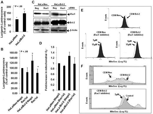 Figure 1. Silencing or pharmacologic inhibition of Rac1 reduces intracellular and intramitochondrial O2∸ levels in Bcl-2-overexpressing cells. (A) Intracellular O2∸ levels were determined in HeLa/Neo and HeLa/Bcl-2 cells using lucigenin-based chemiluminescence. (B) Intracellular levels were determined in HeLa/Neo and HeLa/Bcl-2 cells silenced with control scrambled siRNA (Negsi) Rac1 siRNA using lucigenin-based chemiluminescence assay. (B-C) Error bars represent the mean ± SD (n = 4). (C) Western blot analysis of Rac1, Bcl-2, and β-actin expression in HeLa/Neo and HeLa/Bcl-2 cells transfected with control scrambled siRNA (Neg) or siRNA against Rac1. (D-F) Intramitochondrial O2∸ levels were determined after cells (D-E) or isolated mitochondria (F) loading with MitoSOX as described in “Determination of O2∸.” The mean fluorescence intensity values are expressed as mean ± SE. The histograms are representative of 3 independent experiments.