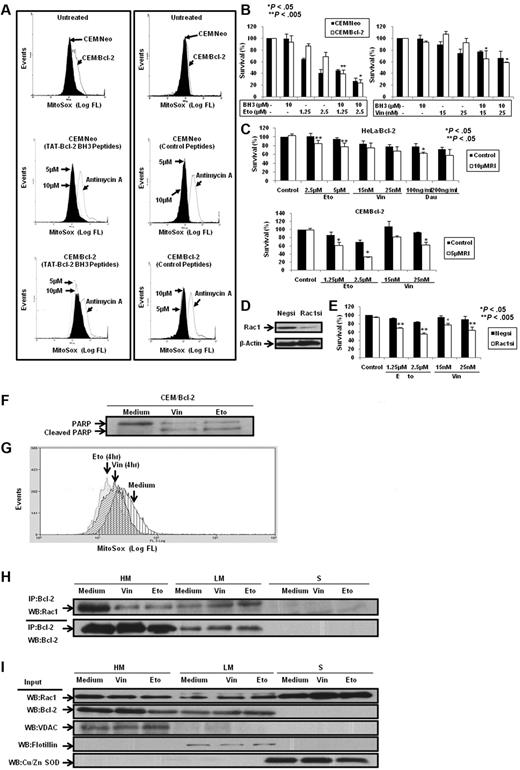 Figure 8. Bcl-2 BH3 peptides and silencing or functional inhibition of Rac1 inhibit intramitochondrial O2∸ levels and enhance sensitivity in Bcl-2-overexpressing cells to chemotherapeutic agents. (A) CEM/Neo and CEM/Bcl-2 cells were incubated with various doses of Bcl-2 BH3 peptides and control peptides for 2 hours. MitoSOX dye was used to assess mitochondrial O2∸ levels as described in “Determination of O2∸.” (B) CEM/Neo and CEM/Bcl-2 cells were preincubated for 1 hour with 10μM Bcl-2 BH3 peptide followed by a 24-hour incubation with various doses of etoposide (Eto) or vincristine (Vin). Cell viability was assessed by the 3-(4,5-dimethylthiazol-2-yl)-2,5-dimethyltetrazolium bromide assay as described in “Determination of cell viability.” Data are mean ± SD of at least 3 independent experiments performed in triplicate. P < .05 and P < .005 compared with the drug treatment alone. (C) HeLa/Bcl-2 and CEM/Bcl-2 cells were preincubated with Rac1 inhibitor (RI) for 1 hour followed by 24-hour incubation with various doses of etoposide (Eto), vincristine (Vin), or daunorubicin (Dau). Cell viability was assessed as described in “Determination of cell viability.” Data are mean ± SD of at least 3 independent experiments performed in triplicate. P < .05 and P < .005 compared with the drug treatment alone. (D) Western blot analysis of Rac1 and β-actin expression in HeLa/Bcl-2 cells transfected with nonspecific scrambled siRNA (Negsi) or siRNA against Rac1 (Rac1si). (E) HeLa/Bcl-2 cells silenced with nonspecific scrambled siRNA (Negsi) or siRNA against Rac1 (Rac1si) were treated with various doses of etoposide (Eto) or vincristine (Vin) for 24 hours. Cell viability was assessed by the crystal violet assay as described in “Determination of cell viability.” Data are mean ± SD of at least 3 independent experiments performed in triplicate. P < .005 and P < .05 compared with the drug treatment alone. (F) Western blot analysis for poly(ADP-ribose) polymerase (PARP; both full length and cleaved) on exposure to 50nM vincristine (Vin) or 5μM etoposide (Eto) was performed to show the proapoptotic phenotypes of CEM/Bcl-2 cells. (G) Intramitochondrial O2∸ levels were determined following cell loading with MitoSOX as described in “Determination of O2∸.” The histograms are representative of 3 independent experiments. (H) CEM cells overexpressing Bcl-2 (60 × 106) were treated with 50nM vincristine (Vin) or 5μM etoposide (Eto) for 16 hours, lysed, and fractionated into purified heavy membrane (HM), LM, and cytosolic (S) fractions. The fraction lysates were then immunoprecipitated with anti-Bcl-2 and probed with anti-Rac1. (I) The fraction lysates were probed for Rac1, Bcl-2, VDAC1, Flotillin, and Cu/Zn SOD.