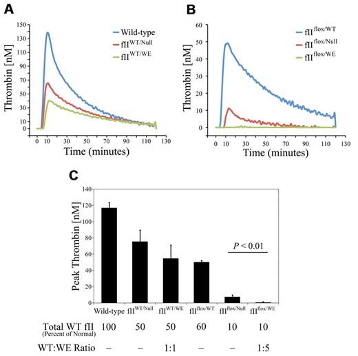 Figure 3. ProthrombinWE limits wild-type thrombin generation in plasma. (A) Representative TGA tracings using plasma isolated from individual wild-type, fIIWT/Null, and fIIWT/WE mice. As expected based on rate-limiting prothrombin concentration, fIIWT/Null plasma supported the generation of approximately half of the thrombin activity observed using wild-type plasma. Thrombin generation tended to be incrementally less in TGA studies using plasma collected from fIIWT/WE mice relative to samples collected from fIIWT/Null mice, but this was not statistically different over multiple specimens (see panel C). (B) Representative TGA tracings using plasma from fIIflox/WT mice (carrying wild-type prothrombin at a concentration ∼ 60% of normal), fIIflox/Null mice (carrying wild-type prothrombin at a concentration ∼ 10% of normal), and fIIflox/WE mice (carrying wild-type prothrombin at a concentration ∼ 10% of normal and an ∼ 5-fold molar excess of prothrombinWE over wild-type prothrombin). Note that thrombin generation with plasma from fIIflox/Null mice was limited (consistent with wild-type prothrombin being present at approximately 10% of normal levels), but was barely detectable with plasma from fIIflox/WE, with a similar concentration of wild-type prothrombin and appreciably more prothrombinWE. (C) Comparison of peak thrombin concentration. The TGA assay was performed in duplicate on plasma collected from 3 mice per genotype. Note that the mean peak thrombin concentration in fIIflox/WE plasma, in which the ratio of fIIWE thrombin to wild-type thrombin was approximately 5:1, was significantly lower than that observed for fIIflox/null plasma. Data are presented as the means ± SD and were analyzed using the Student t test.