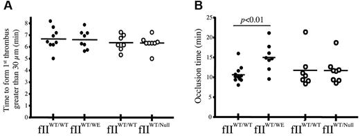 Figure 4. Mice expressing fIIWE exhibit an extended time-to-occlusion in mesenteric arterioles after FeCl3 injury. Thrombus formation was evaluated and quantified using intravital videomicroscopy. (A) The time to initial formation of a thrombus greater than 30 μm was similar between cohorts of wild-type (fIIWT/WT) and fIIWT/WE mice (●), with average times of 6.7 ± 0.3 minutes and 6.6 ± 0.3 minutes, respectively. Similar results were obtained for this parameter in cohorts of fIIWT/WT animals and heterozygous mice carrying one fII null allele and one wild-type fII allele (fIIWT/Null) and known to carry 50% of the normal level of entirely wild-type prothrombin; the average values in cohorts of fIIWT/Null and littermate wild-type mice were 6.3 ± 0.2 minutes and 6.4 ± 0.2 minutes, respectively (○). (B) The time to complete vessel occlusion and cessation of blood flow after injury in fIIWT/WE mice was significantly extended relative to wild-type mice, 15.0 ± 1.2 minutes compared with 10.6 ± 0.6 minutes, respectively. In contrast, the time-to-occlusion after injury in fIIWT/Null mice carrying 50% of normal wild-type prothrombin (average time of 11.7 ± 1.0 minutes) was distinctly shorter than fIIWT/WE mice and virtually identical to that of fIIWT/WT control mice (average time of 11.7 ± 1.1 minutes). Horizontal bars represent the mean of each group, and data were analyzed using the Student t test.