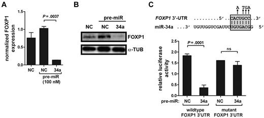 Figure 4. miR-34a directly targets FoxP1 in DLBCL. (A) U2932 cells were electroporated with pre-miR34a or a scrambled negative control pre-miR and analyzed with respect to FoxP1 expression 48 hours later. FoxP1 transcript levels were normalized to GAPDH expression. (B) FoxP1 protein levels of the experiment described in panel A were analyzed by Western blot. α-tubulin levels are shown to control for equal loading. (C) Dual luciferase assay of HEK293T cells cotransfected with firefly luciferase constructs containing the wild-type or mutant miR-34a target site of the FOXP1 3′-UTR downstream of the luciferase reporter. Cells were cotransfected with either pre–miR-34a or a negative control scrambled oligonucleotide and the respective luciferase construct. Data are represented as relative luciferase activity. All experiments were reproduced ≥ 3 times. Error bars indicate SD.