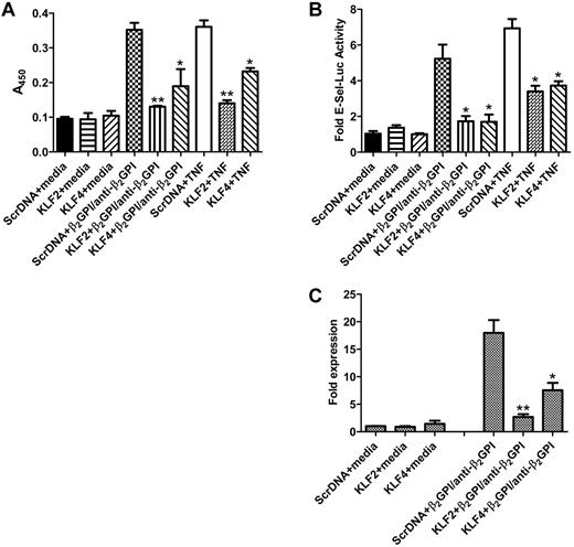 Figure 2. Restoration of KLF2 or KLF4 protects endothelial cells from APLA-mediated activation. (A) Endothelial cells were transfected with expression vectors containing scrambled DNA (Scr DNA, control), or KLF2 or KLF4 cDNA. Transfected cells were then incubated with medium alone, β2GPI (100nM) and anti-β2GPI antibodies (600nM), or TNF-α (10 ng/mL) for 5 hours, after which endothelial cell activation was measured using an E-selectin enzyme-linked immunosorbent assay. Activation was blocked in cells transfected with KLF2 or KLF4, but not scrambled DNA (**P < .01 and *P < 0.05 for KLF2 or KLF4, respectively, vs control). KLF2 and KLF 4 also blocked cellular activation in response to TNF-α. Error bars represent the mean ± SEM of quadruplicate points, and data are representative of 4 experiments. (B) Cells were treated as in panel A but cotransfected with an E-selectin-luciferase reporter and Renilla luciferase (to control for transfection efficiency). Endothelial cell activation was measured as a function of E-selectin luciferase activity normalized to Renilla. KLF2 and KLF4 inhibited E-selectin transcription compared with cells transfected with the control vector (*P < .02 for each) Error bars represent the mean ± SEM of triplicate points, and data are representative of 3 experiments. (C) Cells were transfected with KLF expression plasmids as described in panel A and incubated with medium alone (control) or β2GPI and anti–human β2GPI antibodies for 5 hours. Total RNA was then isolated, and E-selectin mRNA expression was analyzed by quantitative real-time PCR. Expression of KLF2 or KLF4 reduced the induction of E-selectin mRNA expression in response to β2GPI and anti-β2GPI antibodies by 6.7- and 2.6-fold, respectively (**P < .001 and *P < 0.01, respectively). Error bars represent the mean ± SEM of triplicate points.