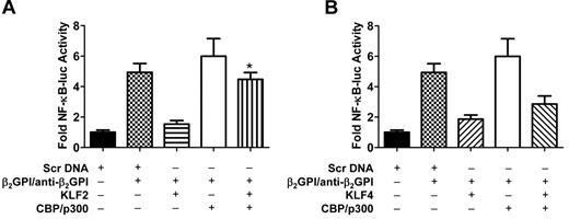 Figure 4. Coexpression of CBP/p300 restores NF-κB transcriptional activity in APLA/anti-β2GPI–activated endothelial cells in the presence of KLF2 or KLF4. (A) Endothelial cells were transfected with expression vectors containing scrambled DNA (Scr DNA, control) or KLF2, and/or CBP/p300. All cells were also transfected with an NF-κB–luciferase reporter and Renilla luciferase. Cells were subsequently treated with medium alone, β2GPI (100nM)/anti-β2GPI antibodies (600nM), or TNF-α (10 ng/mL) for 5 hours before measurement of NF-κB luciferase activity, which was normalized to Renilla. KLF2 expression inhibited NF-κB transcriptional activity in the presence of β2GPI/anti-β2GPI antibodies, although inhibition was reversed by CBP/p300 (*P < .005) in the presence of CBP/p300 compared with KLF2 + β2GPI/anti-β2GPI alone. Error bars represent the mean ± SEM of triplicate points, and data are representative of 3 independent experiments. (B) Endothelial cells were transfected with expression vectors containing scrambled DNA (Scr DNA, control) or KLF4, and/or CBP/p300. All cells were also transfected with an NF-κB–luciferase reporter and Renilla luciferase. KLF4 expression inhibited NF-κB transcriptional activity in the presence of β2GPI and anti-β2GPI antibodies; inhibition was partially reversed by CBP/p300 (P = .056). Error bars represent the mean ± SEM of triplicate points, and data are representative of 3 independent experiments.