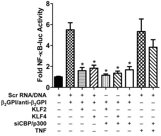 Figure 5. Inhibition of NF-κB activity in APLA/anti-β2GPI–treated HUVECs by KLF2 or KLF4 is in part the result of CBP/p300. Endothelial cells were transfected with scrambled DNA (Scr DNA, control), or KLF2 or KLF4, in the absence or presence of siRNA to CBP/p300. All cells were also transfected with an NF-κB–luciferase reporter and Renilla luciferase. Cells were subsequently incubated with either medium alone, β2GPI (100nM), and anti–human β2GPI antibodies (600nM), or TNF (10 ng/mL) for 5 hours, then lysed before determination of NF-κB–dependent luciferase activity. KLF2 and KLF4 expression, in the absence of siCBP/p300, inhibited NF-κB transcriptional activation in the presence of β2GPI and anti-β2GPI antibodies compared with cells transfected with the control vector (*P < .008). siCBP/p300 inhibited NF-κB transcriptional activity independently, as well as in the presence of KLF2 or KLF4 (*P < .008). However, siCBP/p300 did not significantly affect NF-κB transcriptional activity in the presence of TNF-α. Error bars represent the mean ± SEM of quadruplicate points and data are representative of 3 independent experiments.
