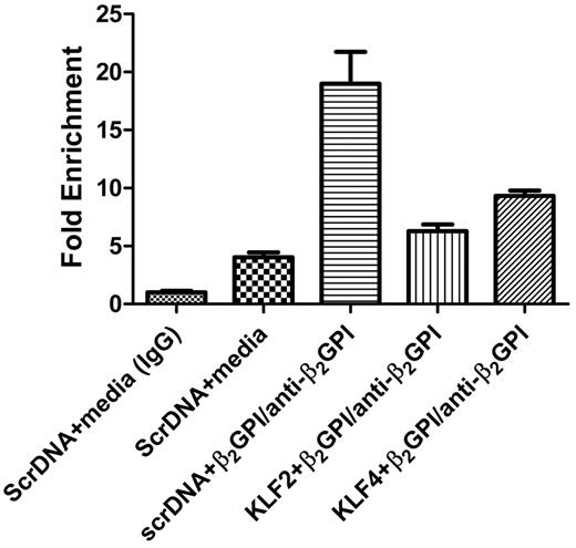 Figure 6. ChIP analysis demonstrates that KLF2 and KLF4 sequester CBP/p300 and decrease CBP/p300-NF-κB complex formation and binding to NF-κB–binding sequences in the E-selectin promoter. Cells were transfected with scrambled DNA or KLF2 or KLF4 expression vectors and then incubated with medium alone or with β2GPI and anti-β2GPI antibodies for 5 hours. After formaldehyde treatment, cell lysates were immunoprecipitated with control IgG or anti-CBP/p300 antibodies, and DNA within the immunoprecipitates was isolated and amplified using primers specific for NF-κB–binding sites in the E-selectin promoter. In cells transfected with scrambled DNA, immunoprecipitation with the CBP/p300 antibody coprecipitated DNA that amplified strongly with these primers, suggesting formation of an NF-κB–CBP/p300 complex bound to NF-κB–binding sites in the E-selectin promoter. In contrast, amplification of DNA from CBP/p300 immunoprecipitates of KLF2- or KLF4-transfected cells yielded a signal only slightly increased above the baseline obtained from control cells, suggesting decreased NF-κB–CBP/p300 complex formation and decreased binding of this complex to NF-κB–binding sites in the E-selectin promoter. Control IgG did not immunoprecipitate a sequence that could be amplified. The abundance of each CBP/p300 coprecipitated NF-κB–binding sequence was calculated as fold change relative to the amount precipitated by control IgG.