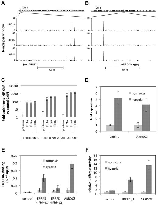 Figure 3. HIF binding regulates gene expression over long genomic intervals. Genomic binding of HIF-1α, HIF-2α, and HIF-1β subunits at the (A) ERRFI1 and (B) ARRDC3 gene loci. The number of reads per 100-bp window and the location of each gene are shown. (C) ChIP–quantitative PCR confirmation of the ChIP-seq defined binding peaks. (D) Expression-quantitative PCR confirmation of gene regulation in response to 16 hours at 0.5% hypoxia. (E) ChIP–quantitative PCR demonstrating RNA Pol2 recruitment to the ERRFI1 and ARRDC3 HIF-binding sites in normoxia and after 16 hours at 0.5% hypoxia. (F) Luciferase reporter assay showing activity of a heterologous luciferase reporter gene fused to sequences spanning each HIF-binding site in normoxia and after 16 hours at 0.5% hypoxia.