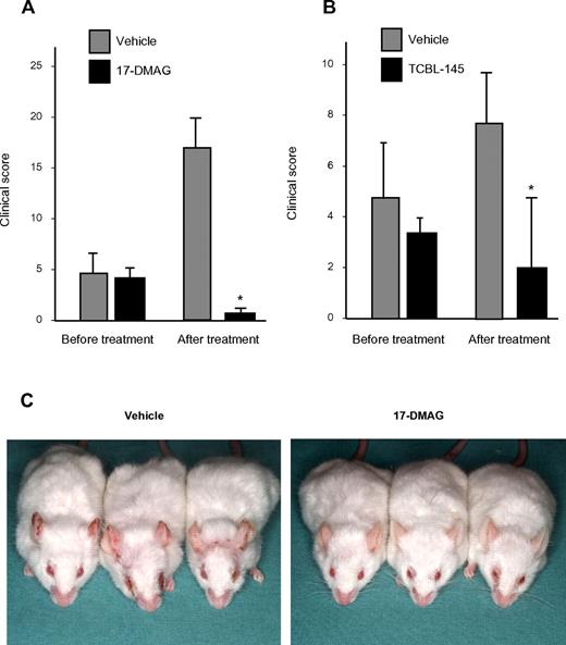 Figure 2. Hsp90 inhibitors exert therapeutic activity in type VII collagen–induced EBA. Mice were immunized with 60 μg of GST-mCVIIC and disease was allowed to progress until moderate average clinical scores (primarily ≥ 2) were observed, at which time vehicle vs 17-DMAG (30 mg/kg 3 times a week; A) or vehicle vs TCBL-145 (3 mg/kg daily; B) was administered over a 6-week treatment period. Data are presented as the average clinical scores defined as the percentage of body surface area affected by skin lesions at the end of the treatment period. Values are means ± SEM of ≥ 6 mice per group. *P < .05. (C) Representative clinical presentations of vehicle- and 17-DMAG–treated mice at the end of the treatment period. Vehicle-treated mice had erythema, erosions, and crusts predominantly located on the ears and around the eyes, whereas 17-DMAG–injected mice presented with significantly less severe disease.