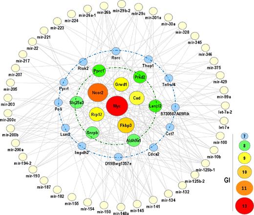 Figure 2. GIs between overexpressed genes and down-regulated miRNA genes. GIs are defined as the number of down-regulated miRNA genes that can potentially target specific sequences in all possible 3′-UTRs of the overexpressed gene indicated. (See supplemental Data for further details.) Myc is the overexpressed gene with the highest number of GIs in γ-irradiation-induced T-cell lymphomas. Thirteen of the 41 miRNA genes down-regulated in these tumors can potentially target the Myc 3′-UTR. Other genes potentially targeted by multiple miRNAs, such as Ncor2 (11 GI) and Kkbp3 (10 GI), are indicated in the figure. Only genes up-regulated in irradiation-induced lymphomas with more than or equal to 7 GI are represented.