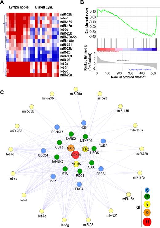 Figure 4. Genetic interactions between protein-coding genes and miRNAs in BL. (A) Heat map of significantly down-regulated miRNAs in BL compared with normal lymph nodes. (B) GSEA for down-regulated miRNAs targeting the MYC 3′-UTR. (C) Genetic interactions (GI) between up-regulated protein-coding genes and down-regulated miRNAs in BL. Only protein-coding genes with GI ≥ 6 are shown.