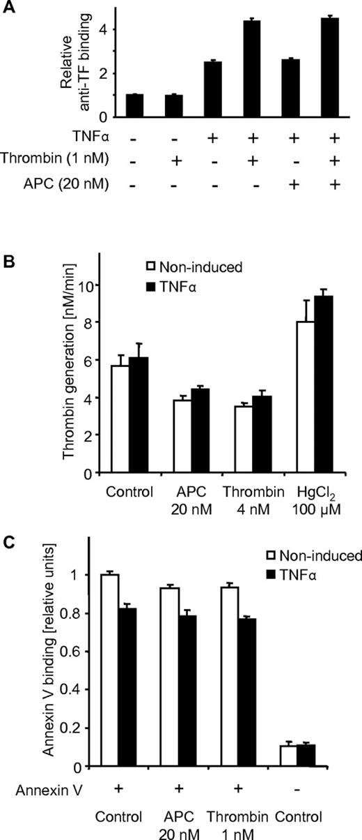 Figure 3. APC does not lead to increased surface expression of TF or availability of anionic phospholipids. TNFα- or control-treated cells were incubated for 3 hours with the indicated agonists. (A) Surface expression of TF was determined by immunoassay using monoclonal anti-TF. Prothrombin activation (B) and annexin V binding (C) were analyzed on the cell surface as measures of negatively charged phospholipids as described in “Reagents, antibodies, and assays.” HgCl2 was added only for 30 minutes. Agonists were removed by washing steps before the assays were performed. Means ± SEM with n = 6 are shown.