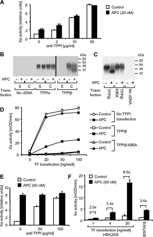 Figure 6. TFPI K1 domain shedding is required for the up-regulation of procoagulant TF by APC. (A) TNFα-induced (5 hours) cells were treated for the final 3 hours with APC (20nM). Factor Xa generation was analyzed after a 30-minute pretreatment with different concentrations of blocking polyclonal anti-TFPI. (B) HEK293t cells were transfected with expression constructs for EPCR alone or in the presence of TFPIα or TFPIβ. The following day cells were incubated for 3 hours with control or APC (60nM) and TFPI in the supernatant (S) or cells (C) was analyzed by Western blotting using polyclonal anti-TFPI. (C) HEK293t cells were transfected with EPCR alone or in the presence of wild-type TFPIβ or TFPIβ K86A. The following day cells were incubated for 3 hours with control or APC (60nM) and TFPI expression in the cells was analyzed by Western blotting using polyclonal anti-TFPI. (D) HEK293t cells were triple transfected as indicated with EPCR, TFPI, and different amounts of TF expression construct. Factor Xa generation was analyzed the next day after a 3-hour incubation with control or APC (60nM). (E) HEK293t cells transfected with EPCR, TFPIβ, and TF (20 ng/well) were treated for 3 hours with APC (60nM). Xa generation was analyzed after a 30-minute pretreatment with the indicated concentrations of blocking polyclonal anti-TFPI. (F) HEK293t cells transfected with EPCR, TFPIβ, and different amounts of TF or TNFα-induced EAhy926 cells were treated for 3 hours with APC (60nM) followed by analysis of Xa generation. Means ± SEM with n = 3 are shown in panels A, D, E, and F. *P < .05; **P < .005. Typical results from 2-3 experiments are shown in panels B and C.