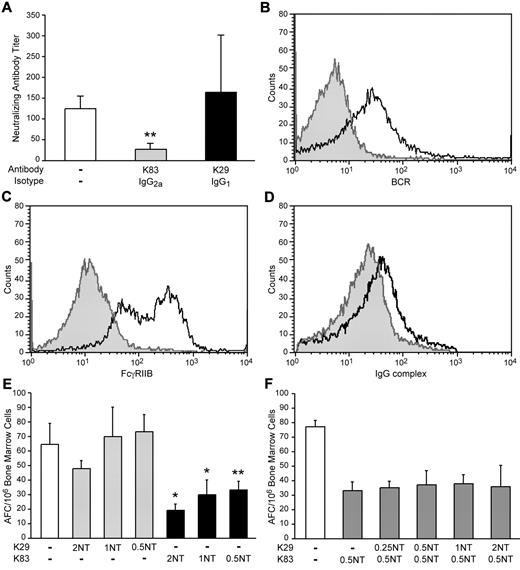 Figure 2. Interaction with FcgRIIB receptor determines inhibitory potential of antibody. Two monoclonal antibodies, K29 and K83, were compared for their ability to bind to the Fc receptor on activated B cells and to inhibit B-cell responses in an ELISPOT assay and in cotton rats. K29 and K83 antibodies both recognize different epitopes on MV-H and neutralize MV. K29 is of the IgG1 isotype and K83 of the IgG2a isotype. (A) To determine the inhibitory activity of K29 and K83, cotton rats were injected with a neutralization titer of 320 of antibody intraperitoneally and immunized subcutaneously with 105 pfu MV (Schwarz strain) one day later. Sera from immunized animals were tested by neutralization assay 7 weeks later. Whereas K83 suppressed the generation of neutralizing antibodies significantly (**P < .01), K29 did not. (B) Cotton rat B cells were activated by the addition of lipopolysaccharide to spleen cells overnight, purified by Ficoll gradient centrifugation, and stained for membrane-bound immunoglobulin (BCR). (C) These B cells also expressed FcγRIIB (CD32). (D) F(ab′)2-complexed K83 (black line) bound to cotton rat B cells, whereas F(ab′)2 fragments of F(ab′)2-complexed K83 did not (gray area). Similarly, F(ab′)2-complexed K29 did not bind to cotton rat B cells (gray line). (E) By ELISPOT, K29 was not able to suppress activation of MV-specific B cells, whereas K83 did (*P < .05; **P < .01). (F) For a competition ELISPOT, plates were preincubated with increasing amounts of K29 before addition of a constant amount of K83. Overall, K29 did not influence the inhibitory activity of K83.