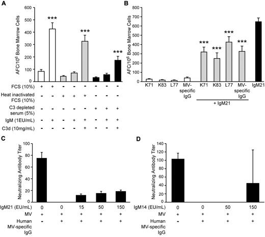 Figure 5. MV-specific IgM stimulates MV-specific B-cell responses in a C3d-dependent manner and overcomes inhibition by MV-specific IgG. Monoclonal IgM antibodies were tested for their ability to stimulate B-cell responses in the presence of inhibitory IgG. All antibodies (IgM 21 and IgM 14) were specific for MV-H and did not neutralize MV. (A) The addition of IgM to bone marrow cells from MV immune cotton rats increased the number of stimulated MV-specific B cells significantly (***P < .001). In the presence of heat-inactivated serum or serum depleted of complement protein 3 (C3), no activation was found. This could be reversed by the addition of C3d. (B) The addition of monoclonal IgG specific for MV-H or polyclonal MV-specific IgG to bone marrow cells from MV immune cotton rats led to low numbers of stimulated MV-specific B cells, whereas addition of IgM led to high numbers. In the presence of a combination of IgM and IgG, numbers were lower than with IgM alone but higher than with IgG alone (***P < .001). (C-D) Cotton rats were inoculated with MV-specific IgG (1 mL of 640 NT, C; or 320 NT, D) intraperitoneally and one day later immunized with 5 × 105 pfu MV (strain Edmonston B, C) or 105 pfu MV (strain Schwarz). At the time of immunization, animals were also inoculated subcutaneously at a different site with different amounts of IgM21 (C) or IgM 14 clone (D). Neutralizing antibodies in serum of cotton rats were determined 7 weeks after immunization; 1 EU of IgM was determined as the amount of IgM with twice the optical density than background.