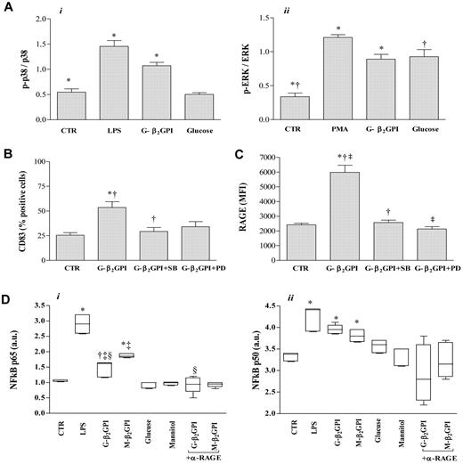 Figure 6. Analysis of MAPK and NK-κB activation and surface molecule expression (CD83, RAGE) in G-β2GPI-stimulated DCs. (A) p38 MAPK and ERK activation in DCs stimulated with G-β2GPI. iDCs (5 × 104 cells) stimulated for 30 minutes with G-β2GPI (10 μg/mL), glucose (5mM), LPS (0.2 μg/mL), or PMA (0.2 μg/mL) were analyzed by cell-based ELISA MAPK assay to monitor p38 and ERK activation. The number of cells in each well was counted and normalized using crystal violet solution, and the results are expressed as arbitrary units. G-β2GPI induced the activation of both the p38 MAPK and the ERK pathways (n = 6, P = .001). (B, C) Flow cytometric analysis of CD83 and RAGE expression in DCs stimulated with G-β2GPI after pretreatment with specific inhibitors for the MAPK family. The increase in CD83 and RAGE expression after G-β2GPI stimulation was significantly prevented by pretreatment of iDCs with the p38 MAPK inhibitor SB203580, whereas the pretreatment of iDCs with the ERK inhibitor PD98059 prevented only the up-regulation of RAGE expression (n = 3, CD83: *P < .01 and †P < .05 comparing G-β2GPI vs G-β2GPI + SB; RAGE: *P < .001 and †P < .001 comparing G-β2GPI vs G-β2GPI + SB and ‡P < .001 comparing G-β2GPI vs G-β2GPI + PD). (D) NF-κB activation in G- and M-β2GPI–stimulated DCs. In G-β2GPI- and M-β2GPI–stimulated DCs, active p65 and p50 levels were significantly increased compared with unstimulated iDCs. Pretreatment of iDCs with saturating concentrations of the blocking anti-RAGE mAb prevented the up-regulation of active p65 in response to G-β2GPI, but not in response to M-β2GPI (n = 6, p65: *P ≤ .001, †P < .01, and ‡P < .001 comparing G-β2GPI vs M-β2GPI and §P = .001 comparing G-β2GPI vs α-RAGE + G-β2GPI; for p50: *P ≤ .001).