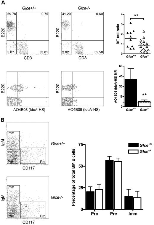 Figure 2. Detection of blood lymphocytes and B-cell development in the BM. (A) Top panel: B (B220+) and T (CD3+) cells detected in the peripheral blood of Rag-2−/−γc−/− mice reconstituted with Glce+/+ and Glce−/− FLHSCs at 4 weeks after transplantation; representative mice are shown. Scatter plot represents individual mice measured and the mean B-/T-cell ratios (n ≥ 10). **P < .01. Bottom panel: Expression of IdoA containing HS on the cell surface of B220+ B cells was measured. Bars represent mean ± SEM (n = 4). The dotted black line indicates background staining. **P < .01. (B) BM of Glce+/+ and Glce−/− mice was isolated and stained for B220, CD117 (c-Kit), and IgM. The dot plots show 3 distinct B220+ B-cell populations; pro-B cells (Pro, CD117+/IgM−), pre-B cells (Pre, CD117−/IgM−), and immature B cells (Imm, CD117−/IgM+). Bar diagram represents mean ± SD of each subsets as percentage of the total B-cell population (n = 4).