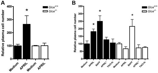 Figure 7. Glce−/− BM plasma show impaired APRIL-mediated survival. (A) APRIL-mediated survival of Glce+/+ and Glce−/− BM plasma cells. BM was isolated from Glce+/+ and Glce−/− mice and cultured in vitro with or without APRIL (200 ng/mL). Bars represent the relative number of surviving plasma cells (B220−, Syndecan-1+, and Ly6c+) after 10 days of culture of 3 independent experiments (mean ± SEM). *P < .05. (B) Unlike APRIL-mediated survival, BAFF-mediated BM plasma cell survival is independent of Glce activity. Glce+/+ and Glce−/− BM plasma cells were isolated and cultured as described earlier in the Figure 7 legend. Bar diagram represents the relative number of surviving BM plasma cells at day 10 (mean ± SEM). *P < .05. BAFF (200 ng/mL); TACI-Ig (2 μg/mL); APRIL* (200 ng/mL) = APRIL mutant that cannot bind to HS.