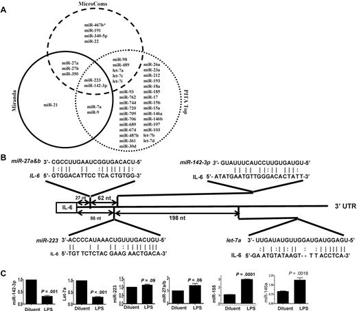 Figure 1. Validation of DC miR profile by RT-PCR. (A) Computational prediction of miRs targeting IL-6 3′UTR by the miRanda, MicroCosm Target, and PITA Top programs The miR-142-3p and miR-223 were predicted by all 3 programs. (B) The potential miR target sequences in the 3′UTR of IL-6 mRNA that are computationally predicted in DCs are shown and the seed sequence pairings are indicated by the lines. (C) Validation of miR expression pattern at baseline and the response to LPS. DCs were treated with either LPS or diluent for 12 hours and analyzed. The levels of miRNA-142-3p, miR-223, Let-7a, miR-27a/b, miR-155, and miR-146a were analyzed by TaqMan quantitative RT-PCR. Expression of miRNAs is presented relative to snoRNA135. Data are representative of 2 to 6 separate experiments with similar results (mean ± SEM).
