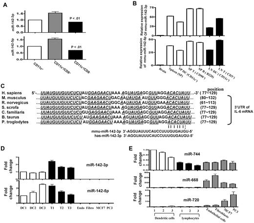 Figure 6. Human and murine hematopoietic cells express miR-142. (A) Endogenous expression of miR-142 in CD11c DC subsets: basal expression levels of miRNA-142-3p and 142-5p was analyzed by in purified FACS sorted CD11c+/CD8+ DC and CD11c+/CD8− DC subsets with quantitative RT-PCR. Data shown are from 1 of 3 similar experiments (mean ± SEM). (B) miR-142s are specific for hematopoietic cells in mice. miR-142 expression was analyzed in the brain, whole splenocytes, DCs harvested from spleen, and the T and B lymphocytes harvested from the spleen or lymphoid nodes of naive mice. Data were obtained from 1 of 2 experiments with n = 3/group. (C) The miR-142-3p target sequence in the 3′UTR of IL-6 mRNA is conserved across several mammalian species. Seed sequence pairing is indicated by lines. (D) miR-142-3p and miR-142-5p are highly expressed in human hematopoietic cells: DCs and T lymphocytes were harvested from the PBMCs that were freshly isolated from normal healthy human volunteers (n = 3). The human cell lines—such as the endothelial cells, fibroblasts, and some cancers cells such as MCF7 and PC3—were used for controls as the nonhematopoietic cells. miR-142-3p and miR-142-5p expression was analyzed by quantitative RT-PCR. Results shown are from 1 of 2 experiments. (E) Control miR expression analyses in human cells: The above cells were also concomitantly analyzed for expression of miR-744, 668, and 720 as additional controls. miR-744 was extensively expressed in hematopoietic, nonhematopoietic, and cancer cells. Both miR-668 and miR-720 were expressed in nonhematopoietic and cancer cells but not in hematopoietic cells.