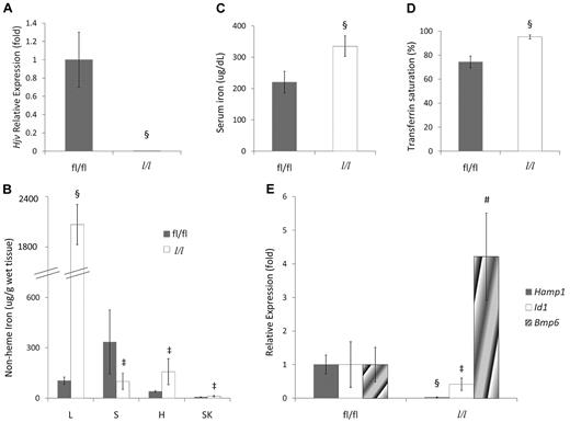 Figure 2. Hjv liver-specific knockout mice exhibit iron-overload phenotypes. (A) Relative Hjv mRNA expression in liver determined by quantitative RT-PCR. fl/fl indicates mice with the homozygous fl allele; l/l, homozygous fl mice expressing the Cre transgene in liver. The Hjv expression level in the livers of fl/fl mice was assigned a value of 1. (B) Serum iron concentration. (C) Serum transferrin saturation. (D) Nonheme tissue iron concentrations (μg/g wet weight) of fl/fl and Hjv liver-specific knockout (l/l) mice. L indicates liver; S, spleen; H, heart; and SK, skeletal muscle. (E) Hepatic Hamp1, Id1, and Bmp6 relative to Rpl19 mRNA expression by quantitative RT-PCR. Results are reported as the -fold change from Hjv fl/fl mice. (A-E) Mean values from analysis of 8-week-old mice (fl/fl mice: 3 male and 2 female, l/l mice: 4 male and 2 female) are graphed. Error bars represent SD. ‡P < .05, #P < .005, and §P < .0005 compared with Hjv fl/fl mice.