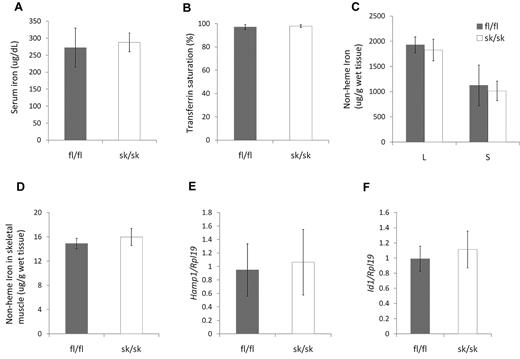 Figure 5. Iron homeostasis in Hjv skeletal muscle–specific knockout mice on iron-rich diet. (A) Serum iron concentration. (B) Serum transferrin saturation. (C) Nonheme tissue iron concentrations (μg/g wet weight) of Hjv fl/fl and skeletal muscle–specific knockout (sk/sk) male mice. L indicates liver; and S, spleen. (D) Nonheme iron concentrations in skeletal muscle. (E) Hepatic Hamp1 relative to Rpl19 mRNA expression. (F) Hepatic Id1 relative to Rpl19 mRNA expression. Mean values from analysis of 8-week-old male mice (n = 4 for fl/fl and n = 6 for sk/sk) are graphed. Error bars represent SD. No statistically significant differences were observed.