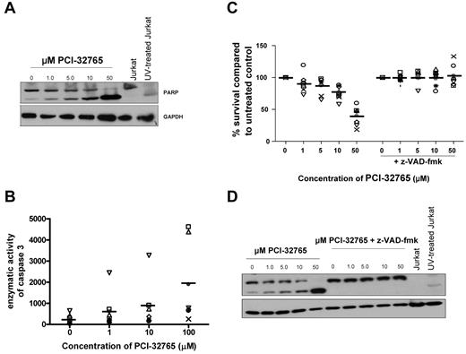 Figure 3. PCI-32765 cytotoxicity against CLL cells is dependent on caspase pathway activation. (A) CD19+ cells from CLL patients (N = 4) were incubated with or without various concentrations of PCI-32765 (1μM-50μM) for 8 hours and PARP cleavage was assessed by immunoblot. Results are shown from 1 of 4 experiments. (B) CD19+ cells from CLL patients (N = 7) were incubated with or without various concentrations of PCI-32765 (1μM-50μM) for 8 hours. Cells were lysed and caspase activity was determined by the amino trifluoromethyl coumarin assay. Results were calculated relative to micrograms of protein. Each symbol represents an individual patient and dark lines represent averages. (C) CD19+ cells from CLL patients (N = 10) were incubated with or without various concentrations of PCI-32765 (1μM-50μM) and 100μM z-VAD-fmk for 48 hours. Viability was determined by annexin-V/PI flow cytometry, and is shown relative to time-matched untreated controls. Each symbol represents an individual patient and dark lines represent averages. (D) CD19+ cells from CLL patients (N = 3) were incubated with or without various concentrations of PCI-32765 (1μM-50μM) and 100μM z-VAD-fmk for 8 hours. PARP cleavage was assessed by immunoblot. Results are shown from 1 of 4 experiments.