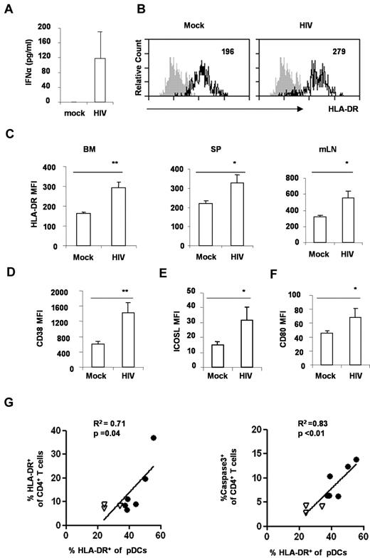 Figure 4. HIV-1 infection induces pDC activation in DKO-hu mice. (A) Elevated IFNα in HIV-1–infected DKO-hu mice. Plasma from mock or HIV-1–infected mice at 1 week after infection was analyzed for IFNα with the Human Cytokine Luminex kit. IFNα in the mock-infected plasma was lower than the detection limit (< 13 pg/mL). SD is shown as error bar (n = 7 mice). (B) HIV-1 infection activated pDCs in the BM in vivo. BDCA2+CD123+ pDCs from BM of mock or HIV-infected mice were analyzed for HLA-DR expression by FACS. The number indicates the mean fluorescence intensity (MFI) of total pDCs. Shaded plots are IgG isotype controls. (C) Summarized data show relative expression of HLA-DR on pDCs from BM, spleen (SP), or mesenteric lymph node (mLN) cells. Error bars indicate SDs. pDCs from mock or HIV-infected mice were analyzed for CD38 (D), ICOS-L (E), or CD80 (F) expression. The number is MFI of total pDCs. Shown is summarized data from 3 mock and 4 HIV-infected DKO-hu mice at 2 weeks after HIV infection. P values between mock and HIV-infected groups were calculated by nonparametric Student t test. *P < .05, **P < .01, (G) pDC activation is correlated with CD4+ T-cell activation and apoptosis. BM cells from 3 mock (▿) and 6 HIV-infected (●) mice were analyzed. Cells were stained with surface markers, followed by caspase3 intracellular staining. CD123+BDCA2+ pDCs and CD3+CD4+ T cells from BM were analyzed for caspase3 or HLA-DR expression. Correlations were analyzed with the Spearman nonparametric test; squared correlation coefficients (R2), and P values were shown.