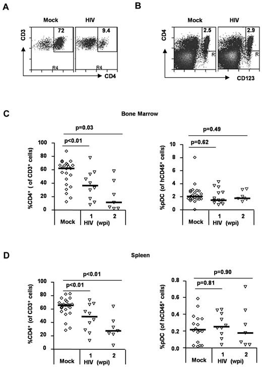 Figure 5. Differential depletion of CD4+ T cells and pDCs in HIV-infected DKO-hu mice. (A) Human CD4+ T cells were depleted by HIV-1 infection. Total BM cells from HIV-infected DKO-hu mice were analyzed by FACS. The numbers in each plot represent the percentage of CD4+ T cells of total CD3+ T cells. (B) Human pDCs were not depleted. Total human CD45+ cells were analyzed for CD4+CD123+ pDC. The number is the percent pDCs of total human CD45+ cells. (C) Summarized data of human CD4+ T cells and pDCs in the BM. (D) Summarized data of CD4+ T cells and pDCs in the spleen. Student t test was used to calculate P values.