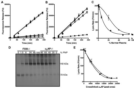 Figure 1. Thrombi formed from plasma depleted of FXIII or α2AP show comparable lysis. (A) Plasma thrombi were prepared from pooled normal plasma (PNP; ○; n = 6) or plasma depleted of FXIII (●; n = 6), α2AP (▴; n = 9), TAFI (▵; n = 2) and PAI-1 (□; n = 2) and lysed with 1 μg/mL tissue plasminogen activator (tPA). Lysis was monitored as release of fluorescence and expressed as mean ± SEM. FXIII and α2AP depleted plasmas lysed significantly faster (P < .005) than PNP, TAFI, and PAI-1 depleted plasma, whereas FXIII and α2AP depleted plasma lysed at comparable rates (P = .5). (B) Plasma thrombi were prepared from PNP (●, ○; n = 6) or α2AP depleted plasma (▴, ▵;r n = 3) in the absence (closed symbols) and presence (open symbols) of a TG inhibitor. Thrombi were lysed as described in panel A. Lysis of α2AP depleted plasma thrombi was significantly different from PNP (P < .005) but no difference in lysis was observed on incorporation of TG inhibitor into α2AP depleted plasma before thrombus formation (P = .5). (C-E) Plasma thrombi were prepared from PNP or mixtures of PNP with FXIII (●) or α2AP (▴) depleted plasma, resulting in different percentages of FXIII (0, 1.5, 6, 24, 48, 100%) or α2AP (0, 20, 40, 60, 80, 100%) relative to their plasma concentration. Lysis was recorded as described in panel A and the mean lysis rate (FU/minutes) plotted against % PNP (n = 6; C). Alternatively, thrombi were solubilized in reducing sample buffer and subjected to SDS-PAGE followed by Western blotting for α2AP (D; n = 6). The Western blot (D) was analyzed using Image J densitometry software and the peak area of total cross-linked α2AP was plotted against the mean lysis rate for each sample of PNP and FXIII or α2AP depleted plasma containing different percentages of plasma (E).