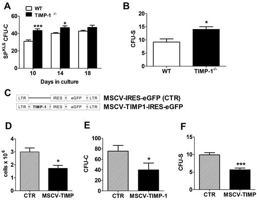 Figure 3. Functional characterization of hematopoiesis in TIMP-1−/− mice. (A) Clonogenic assay of BM SPKLS cells isolated from WT and TIMP-1−/− mice and sorted as single cells in M3434 MethoCult. CFU-Cs were macroscopically scored at 10, 14, and 18 days after seeding. (B) Spleen-colony assay performed by transplanting 200 000 WBM cells (WT or TIMP-1−/−) into WT recipients. CFI-S formation was assessed by splenectomy 13 days after transplantation. (C) Schematic representation of the MSCV retroviral expression vectors used to transduce Sca-1+ hematopoietic progenitors. The control construct (top) only expresses the reporter gene GFP, whereas the TIMP-1 construct (bottom) allows the coordinated expression of both TIMP-1 and GFP. (D) Proliferation of 32D cells in liquid culture after transduction with MSCV constructs (P < .05; left). (E) For CFU-C assessment, 32D cells were transduced with MSCV vectors and sorted as single cells, after 48 hours, into 96-well plates and grown in MethoCult for 14 days. (F) Primary Sca-1+ progenitors (50 000) were transduced with control or MSCV–TIMP-1 constructs and transplanted into recipient mice. CFU-S colonies were analyzed by splenectomy on day 13 after transplantation. Results are reported as mean ± SEM of at least triplicate experiments. *P < .05 and ***P < .001.