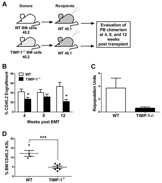 Figure 4. Competitive transplantation of TIMP-1−/− BM cells into WT recipients. (A) Schematic representation of the experimental model used for competitive transplantations of WT or TIMP-1−/− BM cells into WT recipients. (B) Percentage of engraftment at 4, 8, and 12 weeks after transplantation, calculated as relative PB chimerism of donor CD45.2 cells. (C) Repopulation units at 12 weeks after transplantation, calculated according to Harrison20 (see “Transplantation assays”). (D) Percentage of donor-derived (CD45.2) progenitors in the BM KSL compartment at 12 weeks after transplantation. Results are reported as mean ± SEM. *P < .05 and ***P < .001.