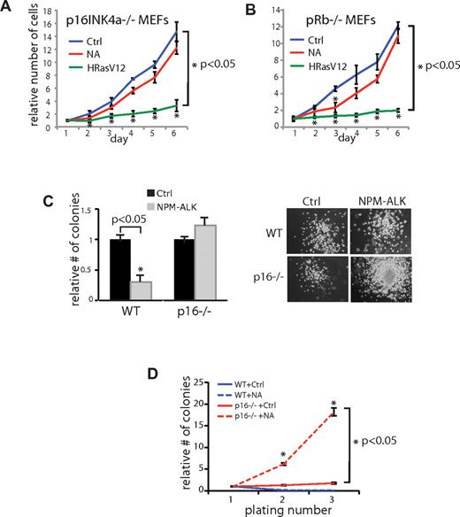 Figure 2. NPM-ALK induced senescence requires an intact p16INK4a/pRb pathway. Growth curves of (A) p16INK4a−/− or (B) Rb1−/− MEFs infected with the indicated retroviruses. Values are expressed relative to day 1. In each panel, results are representative of at least 3 independent experiments. *P values are relative to control cells infected with empty vectors. (C) Methylcellulose-CFU of WT or p16INK4a−/− lin− cells infected with the indicated retroviruses (graph and representative images). Values are expressed relative to control infected cells. (D) Serial replating of WT and p16INK4a−/− lin− cells infected with the indicated retroviruses. CFUs are expressed relative to the first count for each sample. Results are representative of 3 experiments. *P < .05 relative to control cells infected with an empty vector.