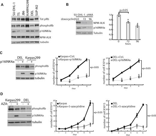 Figure 4. p16INK4a reactivation limits growth of ALCL cell lines. (A) Western blotting analysis of pRb, p16INK4a, phosphorylated pRb (serine 807-811), NPM-ALK, and tubulin expression in 6 different ALCL cell lines (as indicated). (B) Left panel: Western blot analysis of NPM-ALK, p16INK4a, and tubulin expression at different times (as indicated) in SU-DHL-1 cells treated with doxocyclin to induce shRNA interference of NPM-ALK. Right panel: p16INK4a mRNA quantification by qPCR analysis with specific primers. Data were standardized with ribosomal RNA and normalized against control untreated cells. (C) Karpas299 and DEL cell lines were infected with control (Ctrl) and p16INK4a-expressing retroviruses. Left panel: at day 4, cells were collected and expression of p16INK4a, phosphoRb, and tubulin evaluated by Western blot. Right panels: infected cells were selected, plated, and counted daily. (D) Karpas299 and DEL cell lines were treated with 5-azacytidine (AZA) for 6 days. Left panel: at day 5, cells were collected and expression of p16INK4a, phosphoRb, and tubulin evaluated by Western blot. Right panels: cells were plated and counted daily.