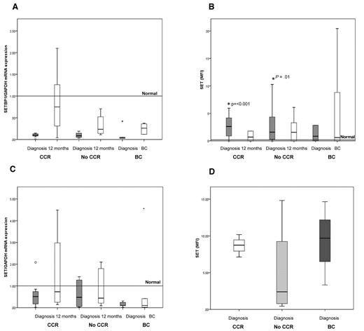 Figure 2. SET and SETBP1 at diagnosis and follow-up. SET protein is low at diagnosis in patients who subsequently progress to BC. (A) mRNA expression of SETBP1. No significant differences in SETBP1 expression were observed between the 3 response groups. CCR, n = 14; No-CCR, n = 11; and BC, n = 6. (B) Levels of SET protein. SET protein levels are higher than in normal MNCs (mean level in 10 healthy subjects = 0.2; range, 0.1-0.3) in the CCR and No-CCR groups (P < .001 and P = .01, respectively). CCR, n = 14; No-CCR, n = 11; and BC, n = 6. (C) SET mRNA expression. CCR, n = 14; No-CCR, n = 11; and BC, n = 6. (D) Level of SET protein in CD34+ cells. The level of SET protein assessed at diagnosis does not correlate with the patients' eventual clinical outcome, although this outcome is based on only 3 patients who later progressed while on imatinib treatment. CCR, n = 3; No-CCR, n = 4; and BC, n = 3.