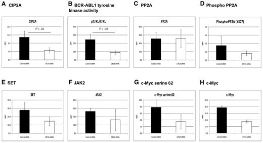 Figure 5. CIP2A plays a key role in regulating PP2A in CML cells. K562 cells were treated with CIP2A siRNA for 72 hours (n = 5). The effects are shown on: CIP2A protein levels as a control (A), BCR-ABL1 activity as assessed by the pCrkL/CrkL ratio (B), PP2A and phosphorylated PP2A (C-D), SET (E), and JAK2 (F). c-Myc phosphorylation at serine 62 and total c-Myc protein (G-H).