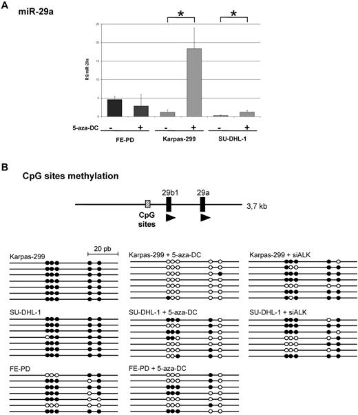 Figure 3. Epigenetic regulation of miR-29a. (A) MiR-29a expression levels by RT-qPCR with or without 5-aza-2′-deoxycytidine (5-aza-DC) treatment in Karpas-299, SU-DHL-1 (ALK+) and FE-PD (ALK−) cells are shown. Data represent the mean of triplicates with standard deviations (SD) and *P < .05. (B) Schematic representation of miR-29 locus on chromosome 7, coding for miR-29b1 and miR-29a (black boxes). The prediction of a CpG-enriched site with Emboss CpGPlot software (http://www.ebi.ac.uk/Tools/emboss/cpgplot/index.html) is represented as a dashed box and contains 5 CpG sites. Bisulphite sequencing of these 5 CpG sites in cells treated with 5-aza-DC or transfected with siALK, and control ALCL cells. Each circle indicates a CpG dinucleotide (●: methylated CpG; ○: unmethylated CpG).