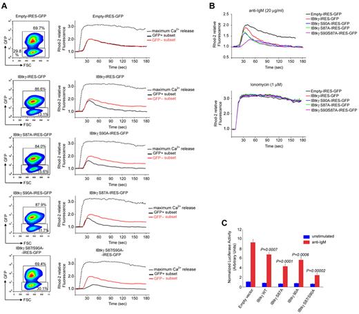 Figure 5. IBtkγ S87/90A functions as super-repressor of Btk-dependent Ca2+ mobilization and NF-κB activation in response to BCR triggering. (A) Profile of Ca2+ mobilization in DeFew cells stably expressing the wild-type FLAG-IBtkγ- IRES-GFP or mutants. DeFew cells (1 × 107) were loaded with the Ca2+ indicator Rhod-2 and stimulated with anti–human IgM (20 μg/mL). The maximum Ca2+ release was measured after the addition of calcium ionophore ionomycin (1μM). The GFP and Rhod-2 fluorescences were acquired by FACS during 180-second time periods and analyzed by FlowJo software (TreeStar Inc). For each experimental point, either cytogram of GFP-positive and GFP-negative subsets, and histogram showing the profile of Ca2+ mobilization in the GFP subsets of each cell line, are reported. Ca2+ mobilization is shown as the Rhod-2 fluorescence intensity compared with the baseline (calculated as 1). A representative experiment of 3 independent experiments is shown. (B) Cumulative profiles of Ca2+ mobilization on anti-IgM (top), or ionomycin (bottom) for the GFP-positive gated populations of the experiment described in A. (C) NF-κB activation in response to BCR triggering in DeFew cells expressing FLAG-IBtkγ or mutants. DeFew cells (6 × 106) stably expressing the wild-type or mutant FLAG-IBtkγ-IRES-GFP were transfected with NF-κB-luc (15 μg) and renilla reporter plasmids (0.5 μg); 24 hours later, cells were treated for 18 hours with anti-IgM (20 μg/mL) or left untreated. The luciferase and renilla activities were measured in cells extracts at least in triplicate and luciferase activity was normalized as the ratio between the luciferase and renilla activity. Statistical significant difference between the empty vector and the vector encoding the wild-type or mutant IBtkγ was analyzed by Student t test. A representative experiment of 3 independent experiments is shown.