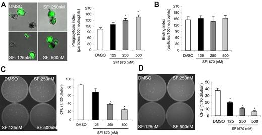 Figure 4. Treatment with PTEN inhibitor SF1670 enhances bacteria-killing capability of neutrophils. (A) In vitro phagocytosis assay. Mouse bone marrow–derived neutrophils were treated with SF1670 at indicated concentrations at 37°C for 30 minutes, washed twice with HBSS, and then incubated with fluorescein isothiocyanate–labeled zymosans (opsonized with mouse serum) at 37°C for 1 hour. Extracellular fluorescence was quenched by trypan blue. Phagocytosis index was expressed as the number of bioparticles engulfed by 100 neutrophils. (B) Binding index was expressed as the number of bioparticles bound to 100 neutrophils. More than 200 neutrophils were counted in each group. Data shown are mean ± SD from 1 experiment representative of 3 experiments. (C) In vitro bactericidal assay. Bone marrow–derived neutrophils were pretreated with indicated amounts of SF1670 as described here, washed twice with HBSS, and then incubated with opsonized live E coli at 37°C. Sterile water was added to lyse neutrophils after 1 hour. Samples were serially diluted and spread on Luria-Bertani agar plates. The numbers of E coli colonies were determined after overnight incubation at 37°C. (D) Gentamicin protection assay. In this experiment, gentamicin was added to kill extracellular bacteria. Data shown are mean ± SD of 3 experiments. *P < .01 vs control.